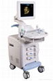 4D Color Doppler Ultrasound 1