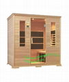 HJ-H401 sauna room 1