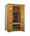 HJ-R202 sauna room 1