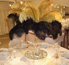 ostrich feather 