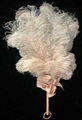 ostrich feather  3