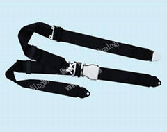 TER-A001     3 point safety belts