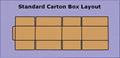 Carton Box Layout