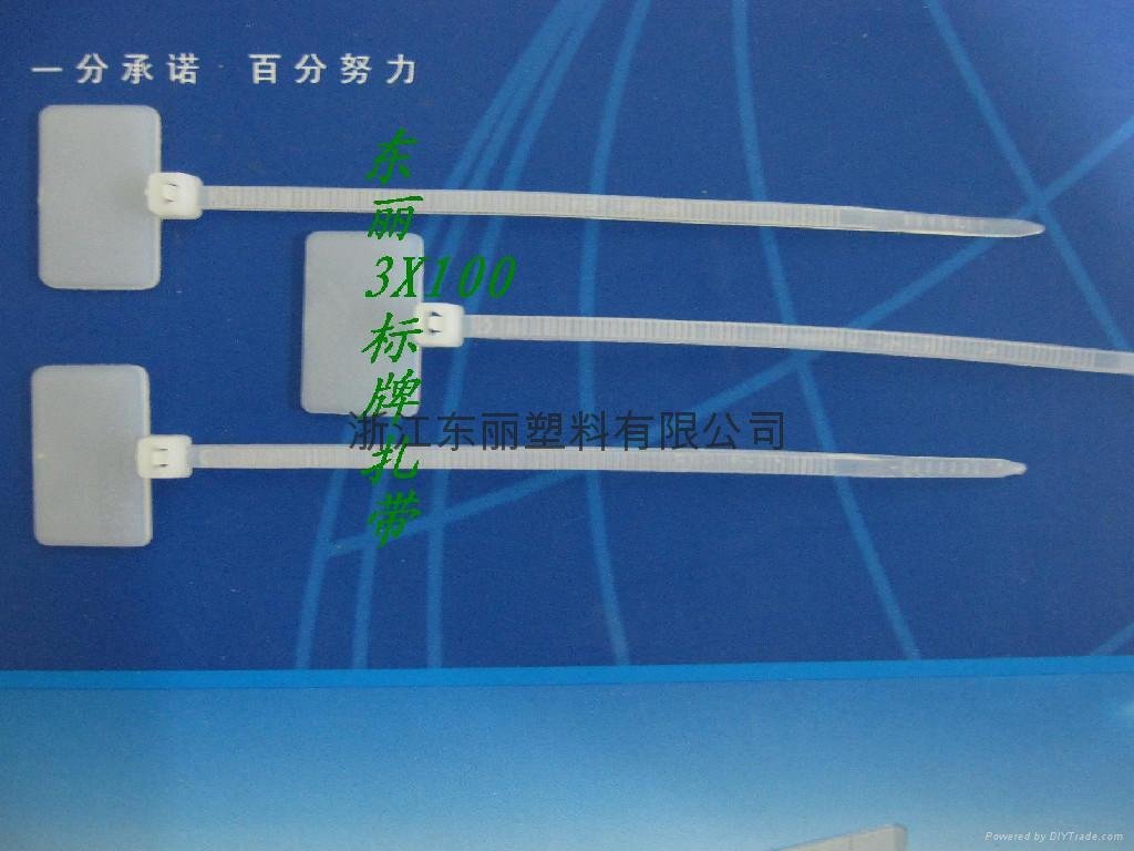 Nylon cable tie in Wenzhou 3