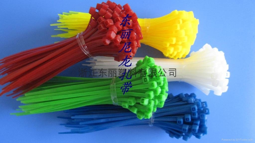 Nylon cable tie in Wenzhou 4