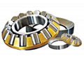 Spherical Thrust Roller Bearing 1