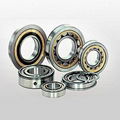 CNN Cylindrical Roller Bearing