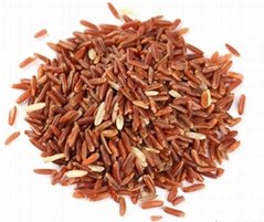 Red Yeast Rice Extract Lovastatin