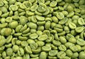 Green Coffee Bean Extract Chlorogenic acid 1