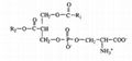 Phosphatidylserine (PS) 8002-43-5  