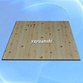 wooden designs of pvc panel 2