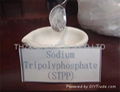 Sodium Tripolyphosphate (STPP) 2