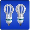 Lotus energy saving lamps