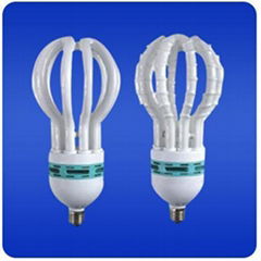 Lotus energy saving lamps 