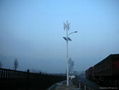 wind solar hybrid system