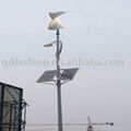 wind solar street lamp