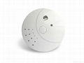 Smoke Detector RCS421,9V battery operated 2