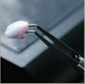牙科技工工具-瓷粉取放筆 1
