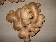 Fresh Ginger