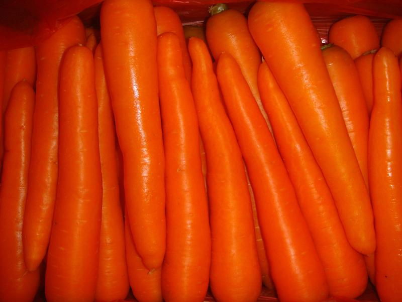 Fresh Carrot 4
