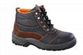 Safety Shoes (TA608)