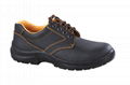 Safety Shoes (TE128) 1