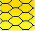 Hexagonal Wire Netting