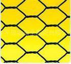 Hexagonal Wire Netting