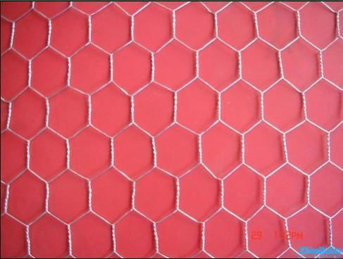 Hexagonal Wire Netting 4