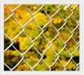 Chain Link Fence