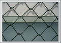 Chain Link Fence 4