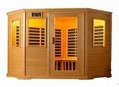 Sauna room 1