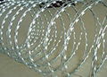 Razor Barbed Wire  1