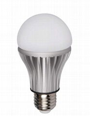 LED BULB