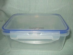 Plastic Food Container