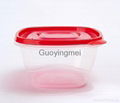 Plastic Food Container 3