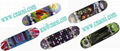 Skateboard-new style, popular, hot sales