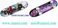 New design skateboards 1