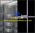 Field Fencing From Werson Security Fencing System 3