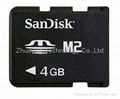 Sandisk Micro sd card 2