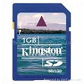 Kingston SD Card