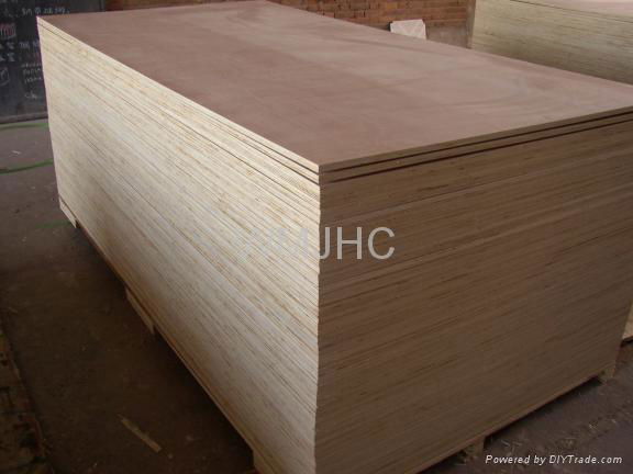 royal plywood 5