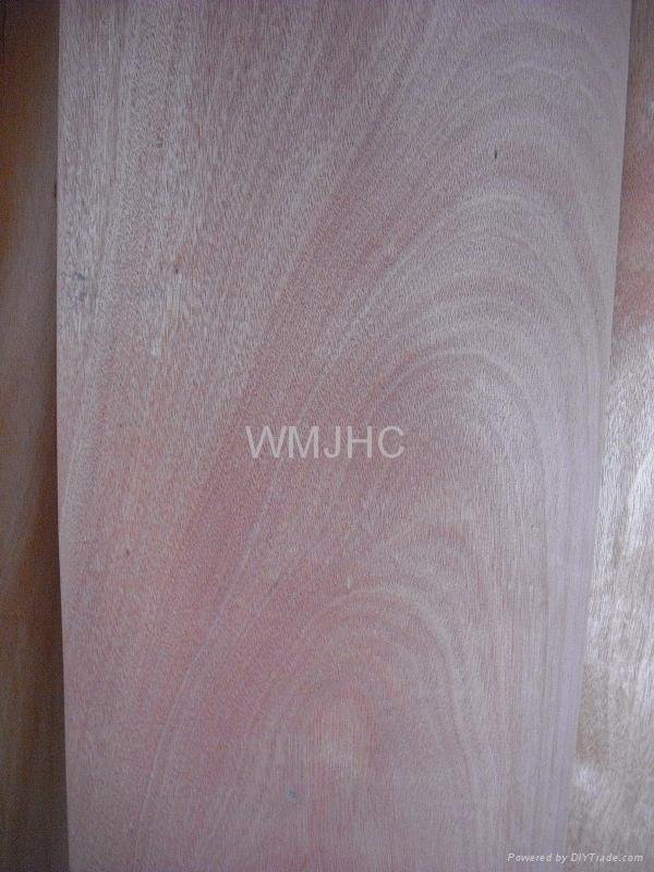 wood veneer 2