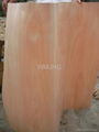 wood veneer 4