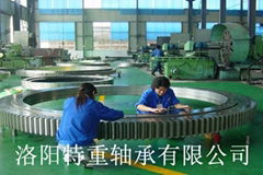 Luoyang heavy-duty bearing co.,ltd