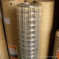 welded wire mesh  2