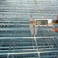 welded wire mesh  4