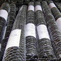 Hexagonal Wire Mesh  3