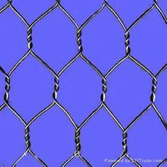 Hexagonal Wire Mesh 