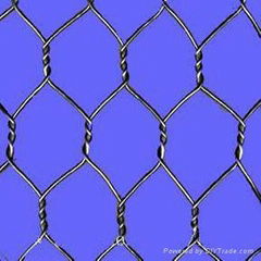 Hexagonal Wire Mesh